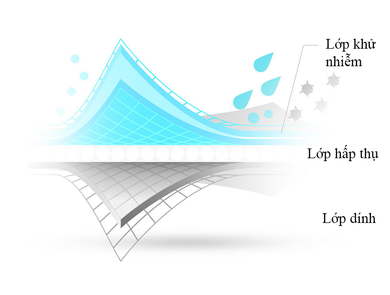 Lớp khử khuẩn cây lau nhà