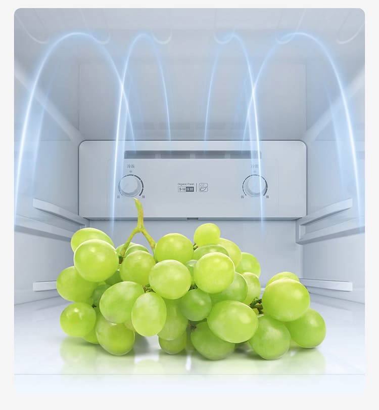 tủ lạnh ba cánh làm đông mềm Xiaomi Mijia 216L 